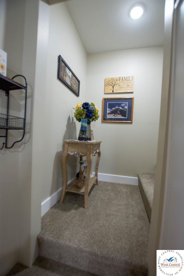 1625 W 16th St, Sedalia, MO 65301 - hall with carpet and baseboards