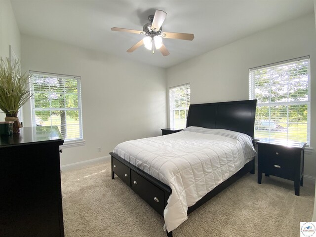 27771 Quisenberry Rd, Sedalia, MO 65301 - photo 36
