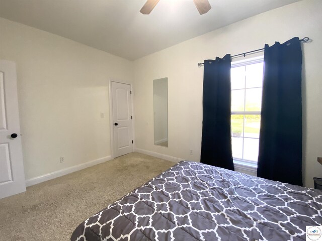 27771 Quisenberry Rd, Sedalia, MO 65301 - photo 45