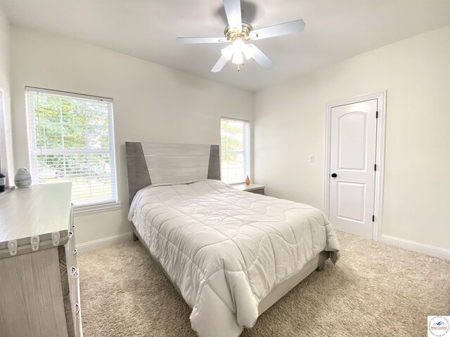 27771 Quisenberry Rd, Sedalia, MO 65301 - photo 41