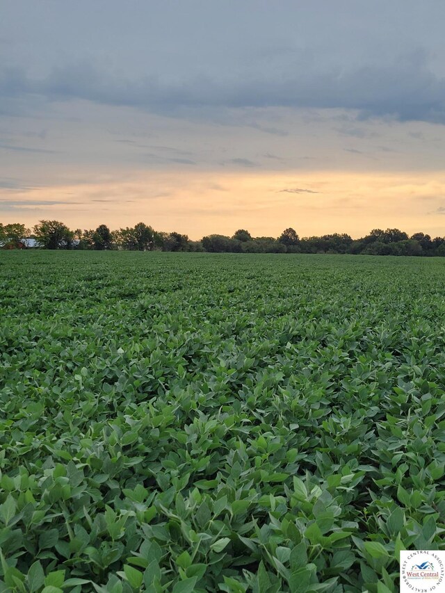 80ACRES Crawford Ave, Windsor, MO 65360 - photo 24