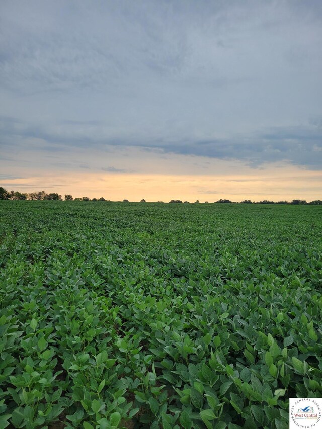 80ACRES Crawford Ave, Windsor, MO 65360 - photo 26