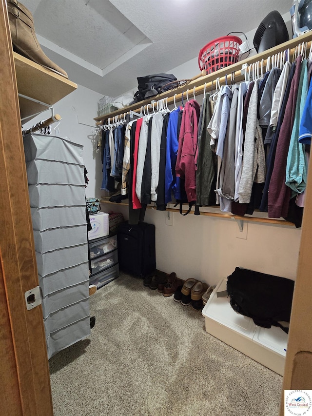 walk in closet featuring carpet