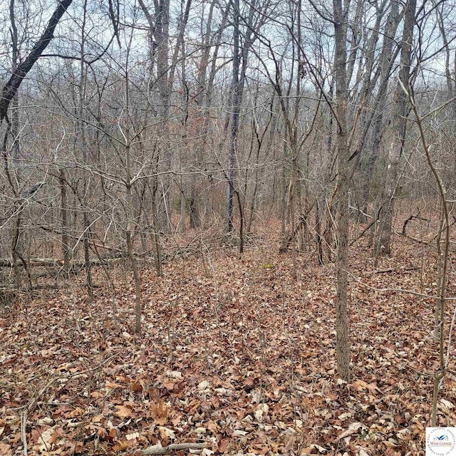 L45 Stag Dr, Edwards, MO 65326