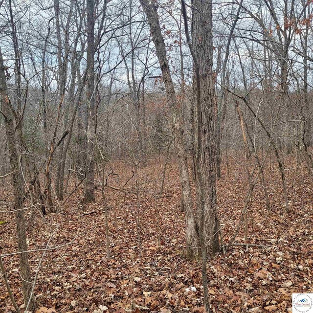 L45 Stag Dr, Edwards, MO 65326
