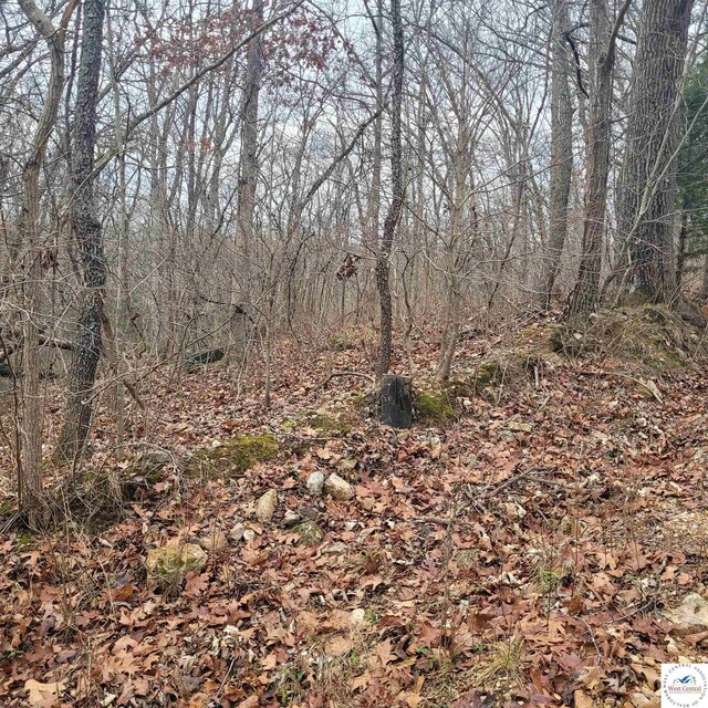 L45 Stag Dr, Edwards, MO 65326