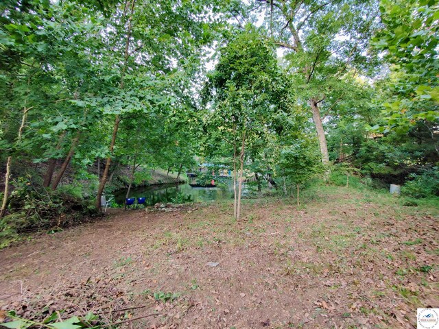 Blue Coveview Ln, Sunrise Beach, MO 65079