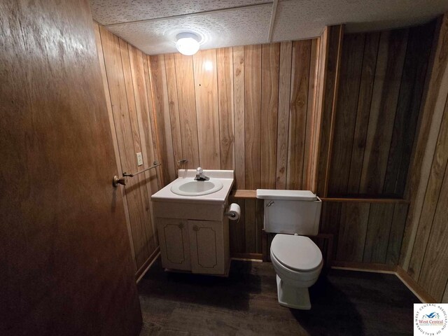 1006 E Palmer Pl, Clinton, MO 64735 - bathroom with wooden walls, toilet, and vanity