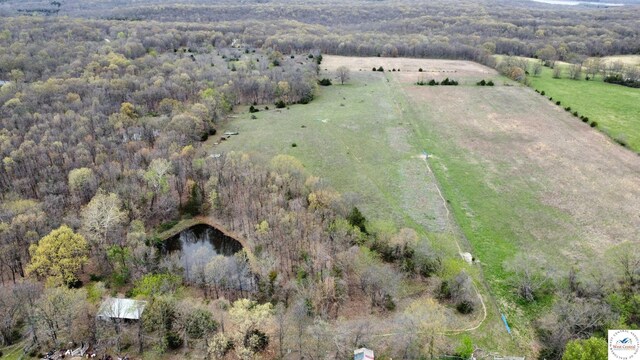 11927 SE Z Hwy, Deepwater, MO 64740 - photo 4
