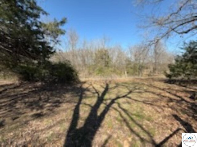 11927 SE Z Hwy, Deepwater, MO 64740 - photo 18
