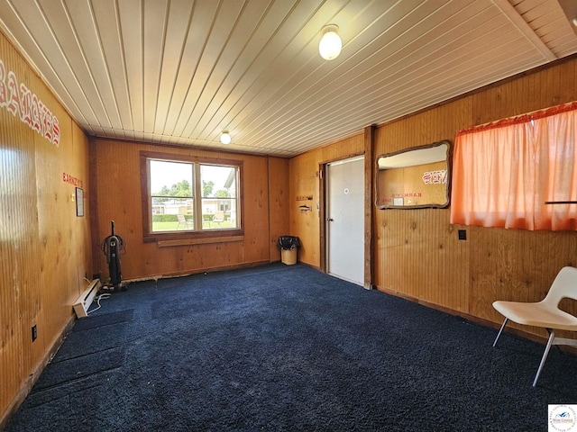 406 W Main St, Cole Camp, MO 65325 - unfurnished room with wood walls, carpet flooring, and wood ceiling
