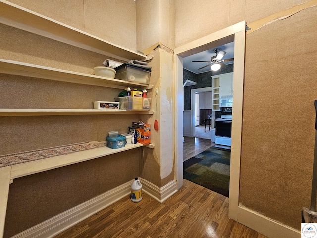 406 W Main St, Cole Camp, MO 65325 - hallway with dark wood-style flooring and baseboards