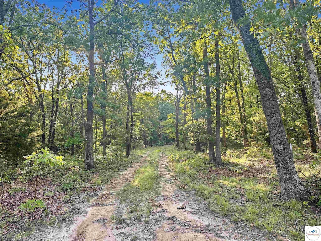 Twin Logs Ln, Edwards, MO 65326