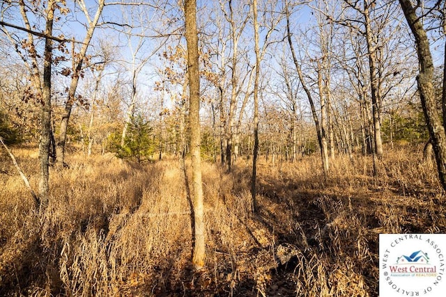 000 Waisner Ave, Edwards, MO 65326