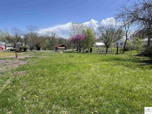 310 W Vanburen St, Versailles, MO 65084 - photo 14