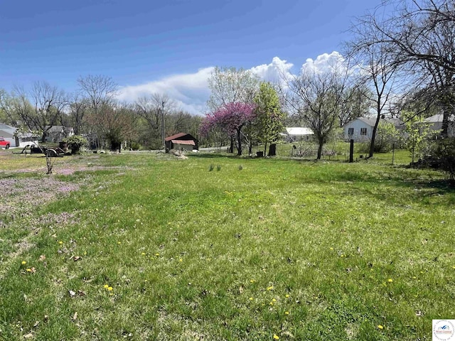 view of yard