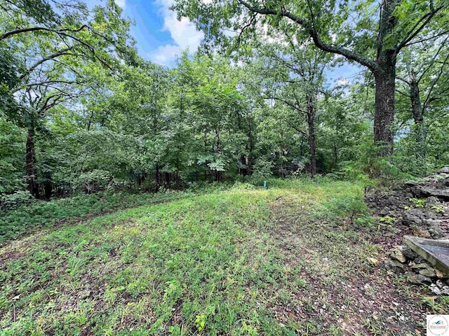 30155 Fischer Pl, Edwards, MO 65326 - photo 12