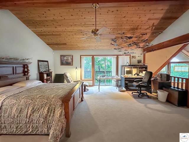 30155 Fischer Pl, Edwards, MO 65326 - photo 32