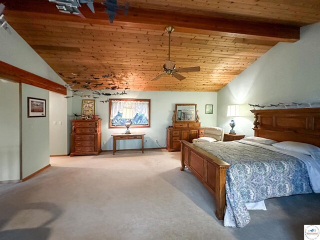 30155 Fischer Pl, Edwards, MO 65326 - photo 34
