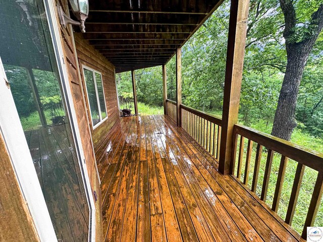 30155 Fischer Pl, Edwards, MO 65326 - photo 10