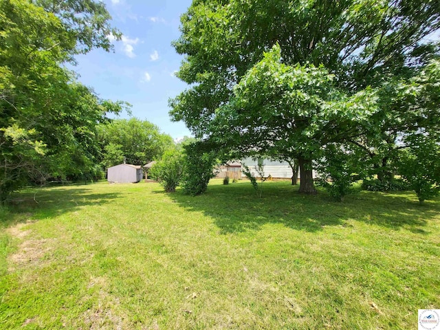 81 SE 500th Rd, Clinton, MO 64735 - view of green lawn with an outdoor structure