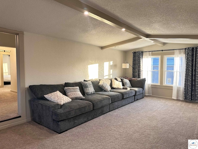 403 Van Buren St, Warsaw, MO 65355 - living area featuring lofted ceiling with beams, a textured ceiling, carpet floors, and a textured wall