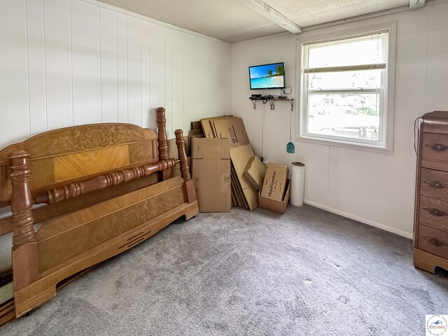 15157 Bass Rd, Gravois Mills, MO 65037 - living area with carpet flooring