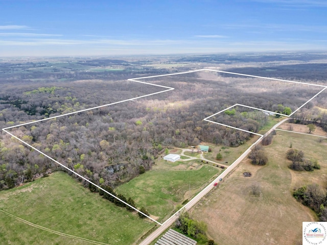 1105 NE 450th Rd, Osceola, MO 64776 - photo 1