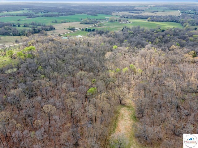 1105 NE 450th Rd, Osceola, MO 64776 - photo 37
