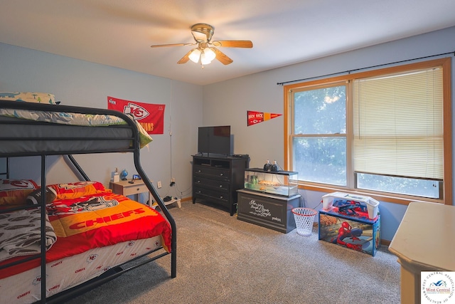 12 W 8th St, Higginsville, MO 64037 - photo 13