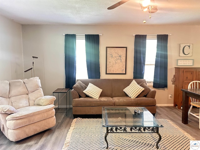 897 SE 1021st Rd, Deepwater, MO 64740 - photo 6