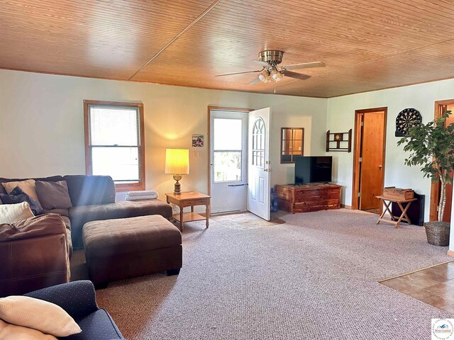 897 SE 1021st Rd, Deepwater, MO 64740 - photo 24