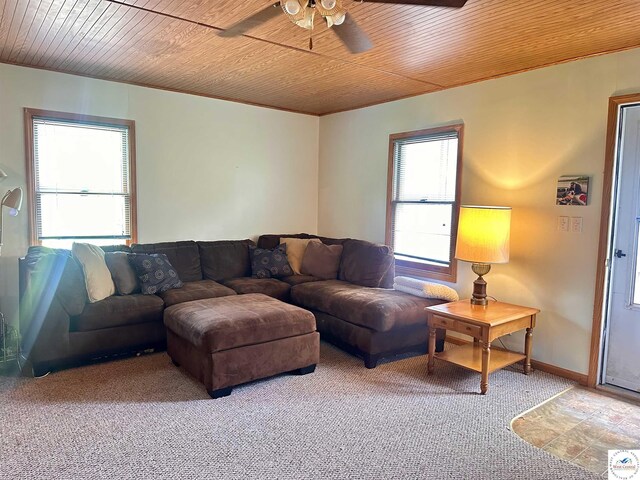 897 SE 1021st Rd, Deepwater, MO 64740 - photo 22