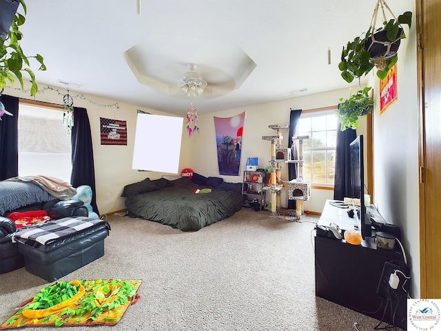 113 SE 1171st Rd, Knob Noster, MO 65336 - carpeted bedroom with ceiling fan and a tray ceiling