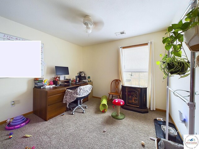 113 SE 1171st Rd, Knob Noster, MO 65336 - office featuring carpet flooring, a ceiling fan, and baseboards