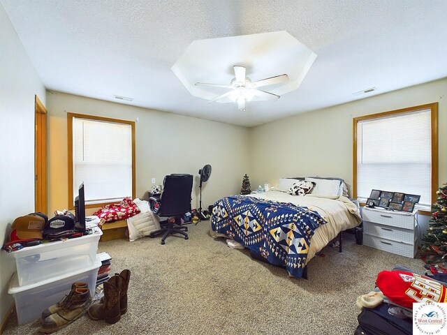 113 SE 1171st Rd, Knob Noster, MO 65336 - bedroom featuring multiple windows, carpet, and a ceiling fan