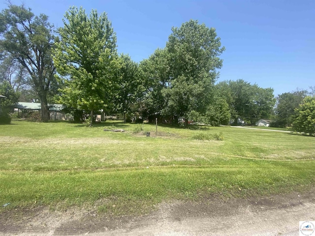 208 S Dixon, Lowry City, MO 64763 - view of yard
