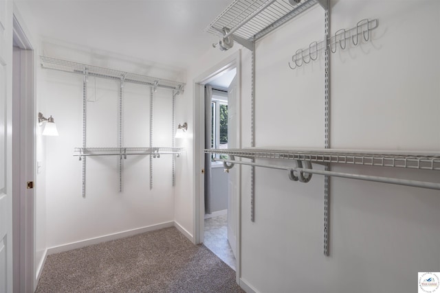 1114 W Broadway Blvd, Sedalia, MO 65301 - spacious closet featuring carpet floors