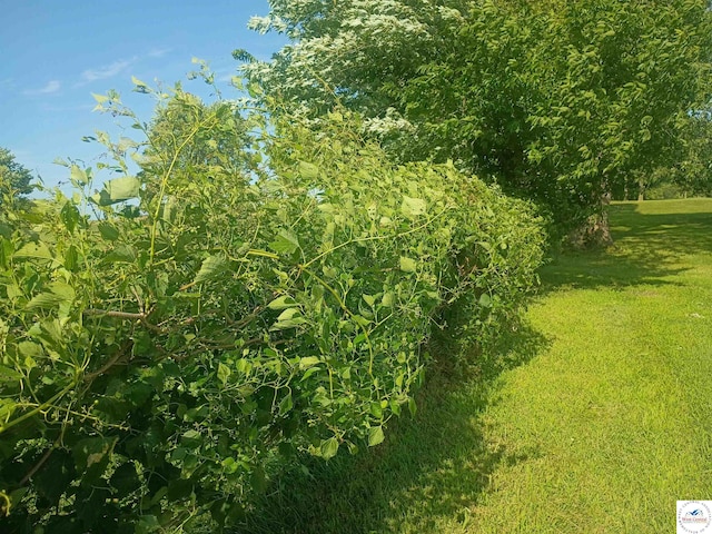 30512 S Hess Rd, Harrisonville, MO 64701 - view of nature