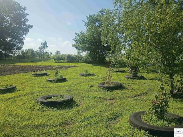 30512 S Hess Rd, Harrisonville, MO 64701 - view of grassy yard