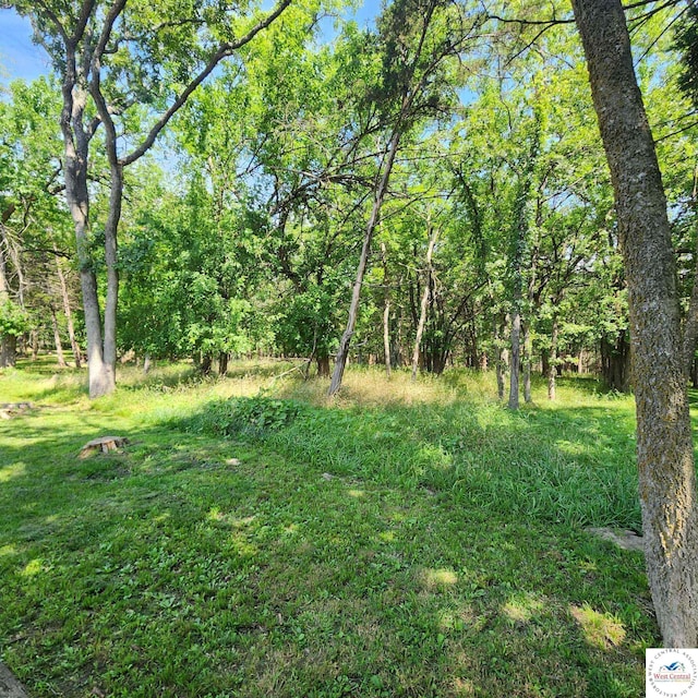 20599 Chipmunk Trl, Wheatland, MO 65779 - photo 21