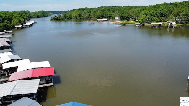 water view featuring a forest and a boat dock