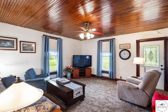 12189 119th Rd, Sweet Springs, MO 65351 - photo 22