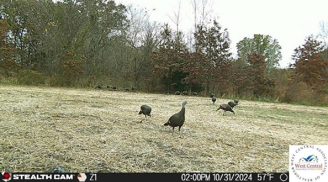 Violet Rd, Browning, MO 64630
