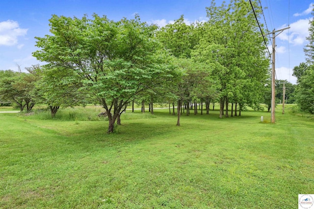 810 Harris St, Clinton, MO 64735 - view of grassy yard