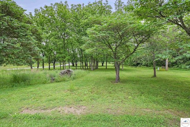 810 Harris St, Clinton, MO 64735 - view of green lawn
