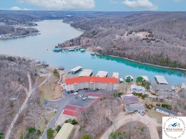 bird's eye view with a water view and a view of trees