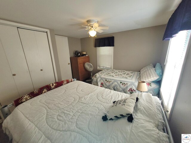 29657 Waters Edge Rd, Lincoln, MO 65338 - photo 27