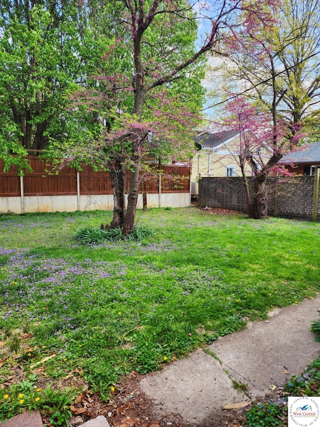 705-709 S Park Ave, Sedalia, MO 65301 - view of yard
