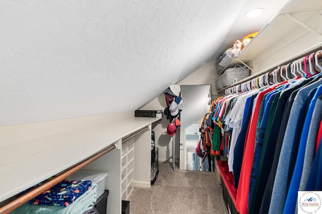 spacious closet featuring carpet and vaulted ceiling